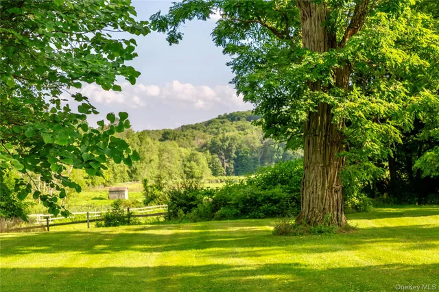 a view of a yard with a tree