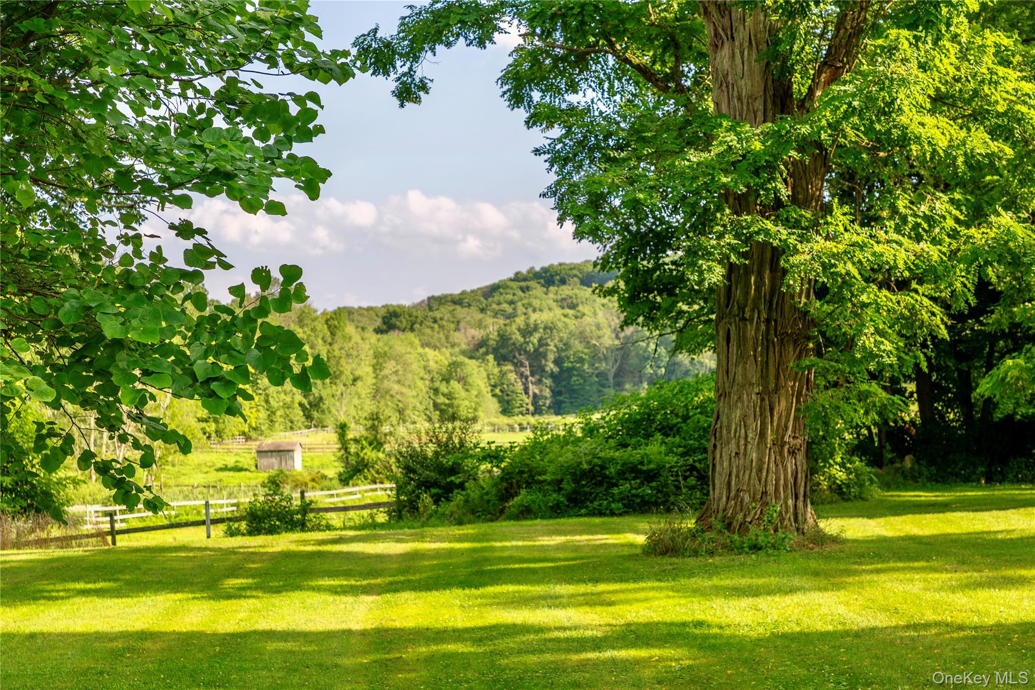 729 Cold Spring Road Stanfordville, NY 12581 - Photo 26 of 47 View of yard