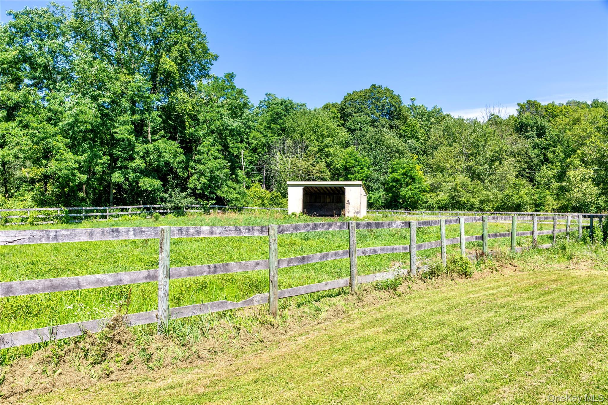 729 Cold Spring Road Stanfordville, NY 12581 - Photo 34 of 47 View of yard featuring a rural view, an outdoor structure, a forest view, and a pole building