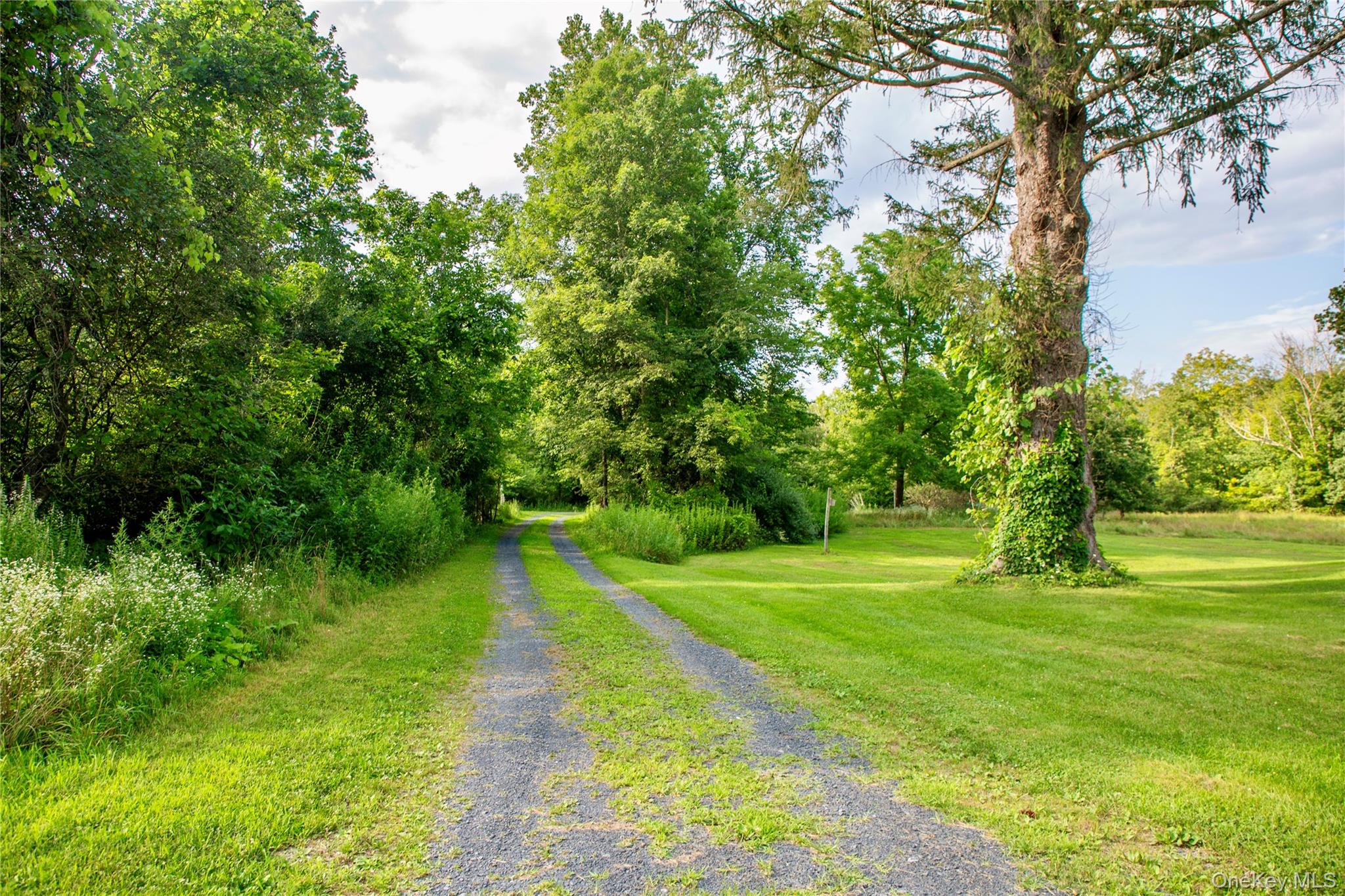 729 Cold Spring Road Stanfordville, NY 12581 - Photo 38 of 47 View of road