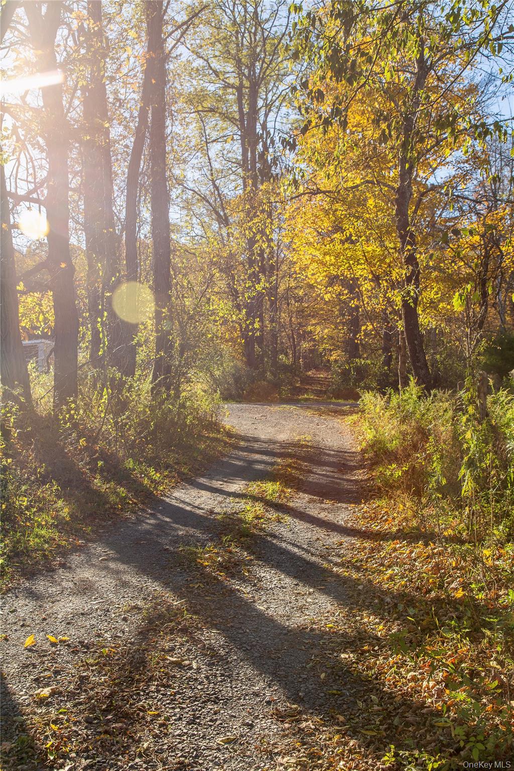 729 Cold Spring Road Stanfordville, NY 12581 - Photo 39 of 47 a view of a yard with a tree