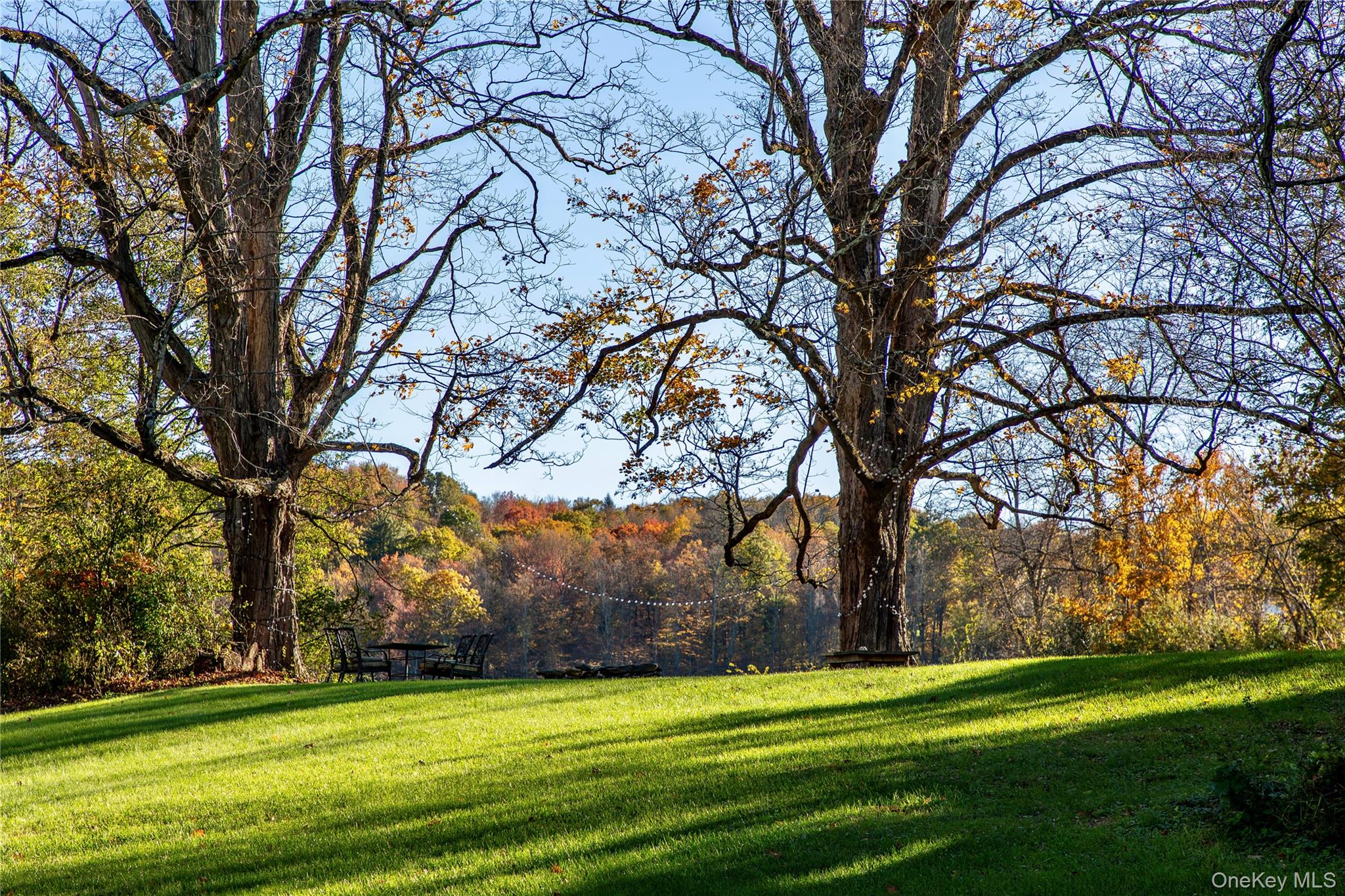729 Cold Spring Road Stanfordville, NY 12581 - Photo 40 of 47 a view of a golf course with trees