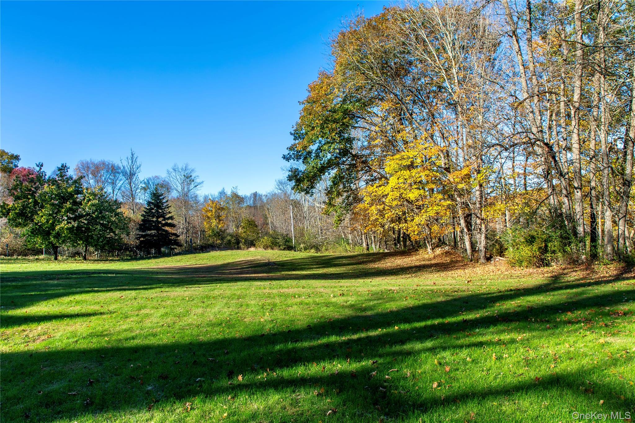 729 Cold Spring Road Stanfordville, NY 12581 - Photo 42 of 47 View of property's community featuring a lawn