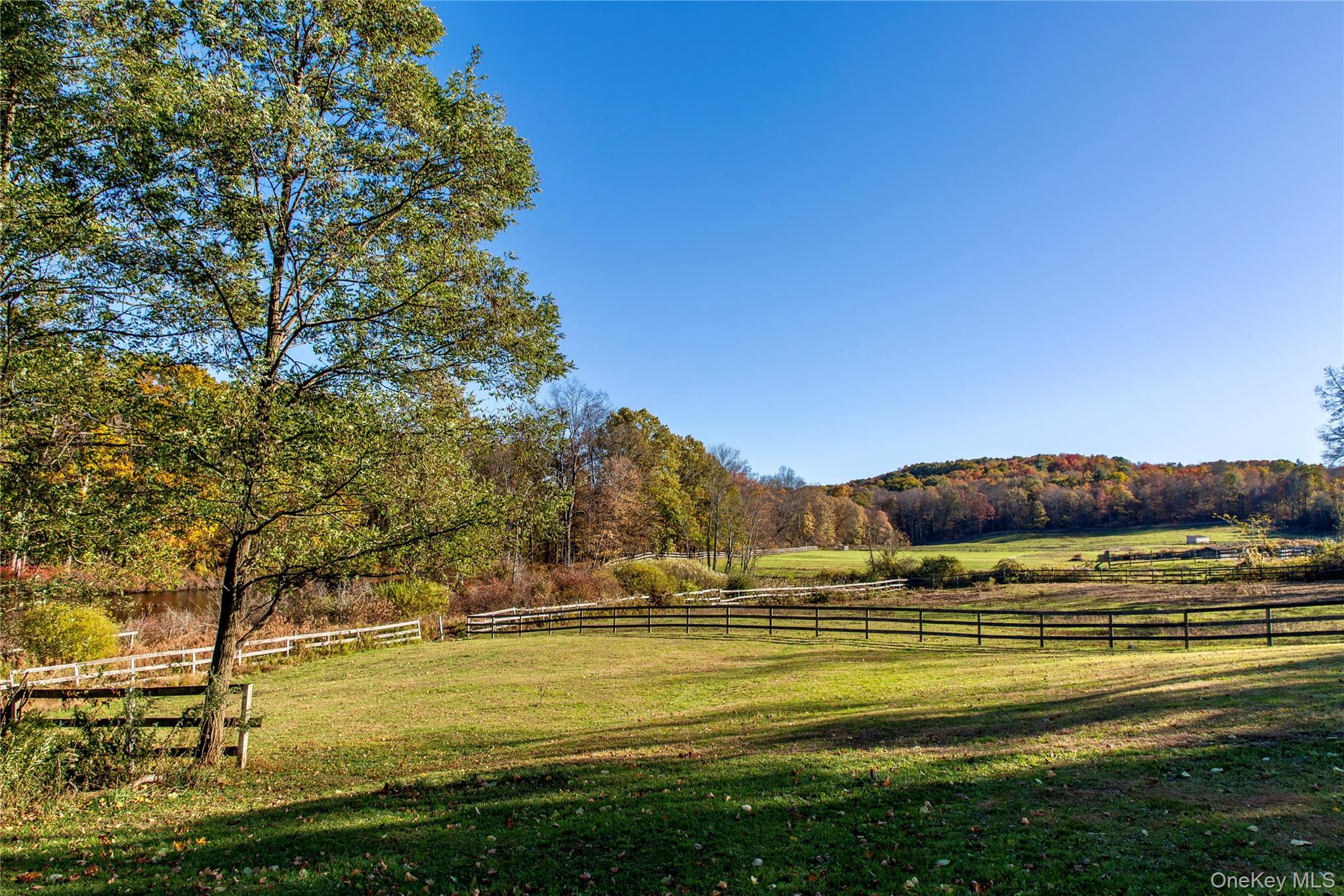 729 Cold Spring Road Stanfordville, NY 12581 - Photo 45 of 47 View of yard with a view of countryside and a wooded view