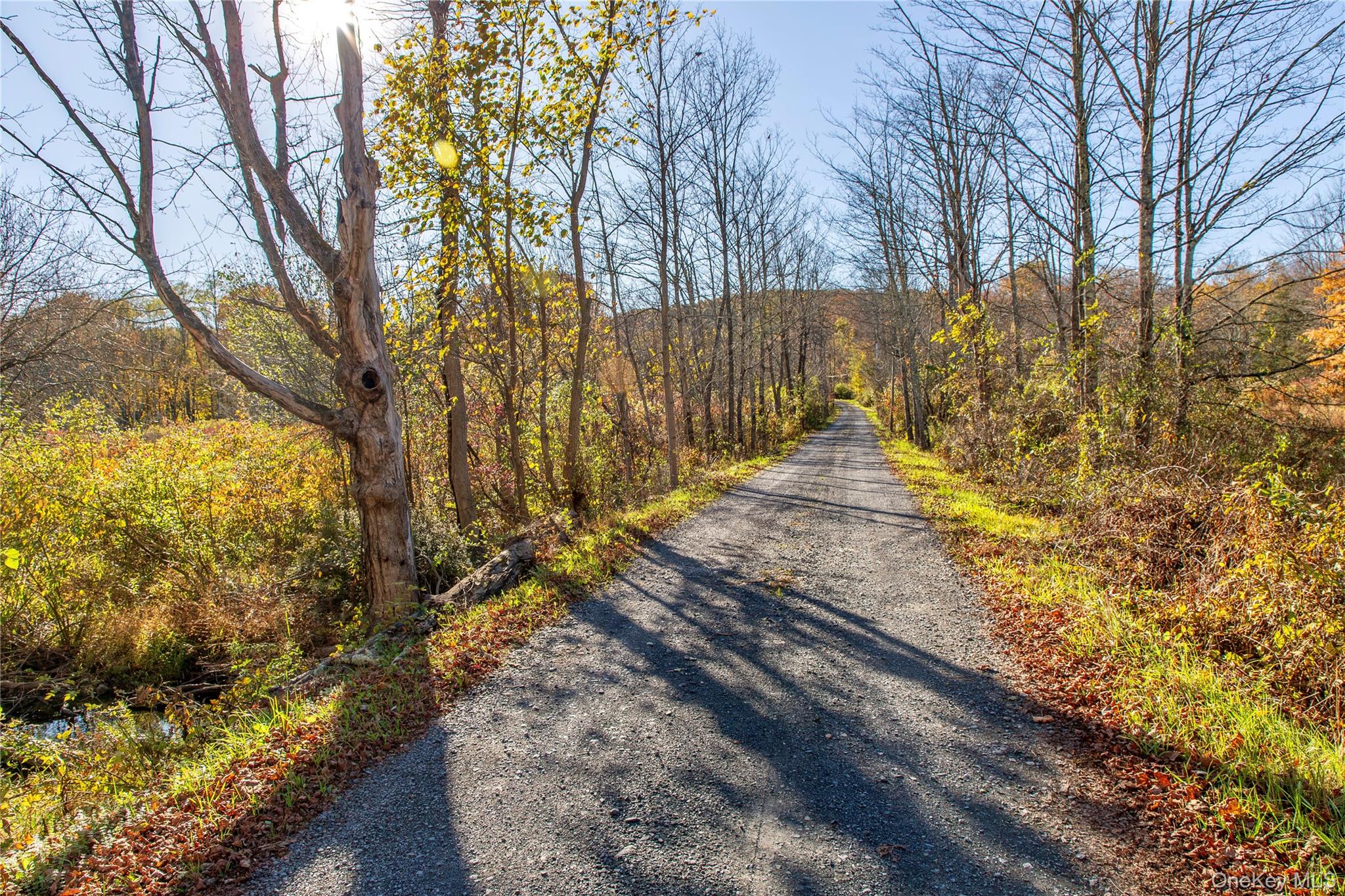 729 Cold Spring Road Stanfordville, NY 12581 - Photo 47 of 47 View of road with a view of trees