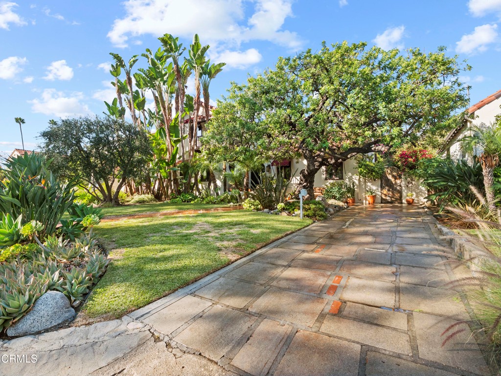 1505 Carroll Drive Altadena, CA 91001 - Photo 39 of 40 a view of yard with tree