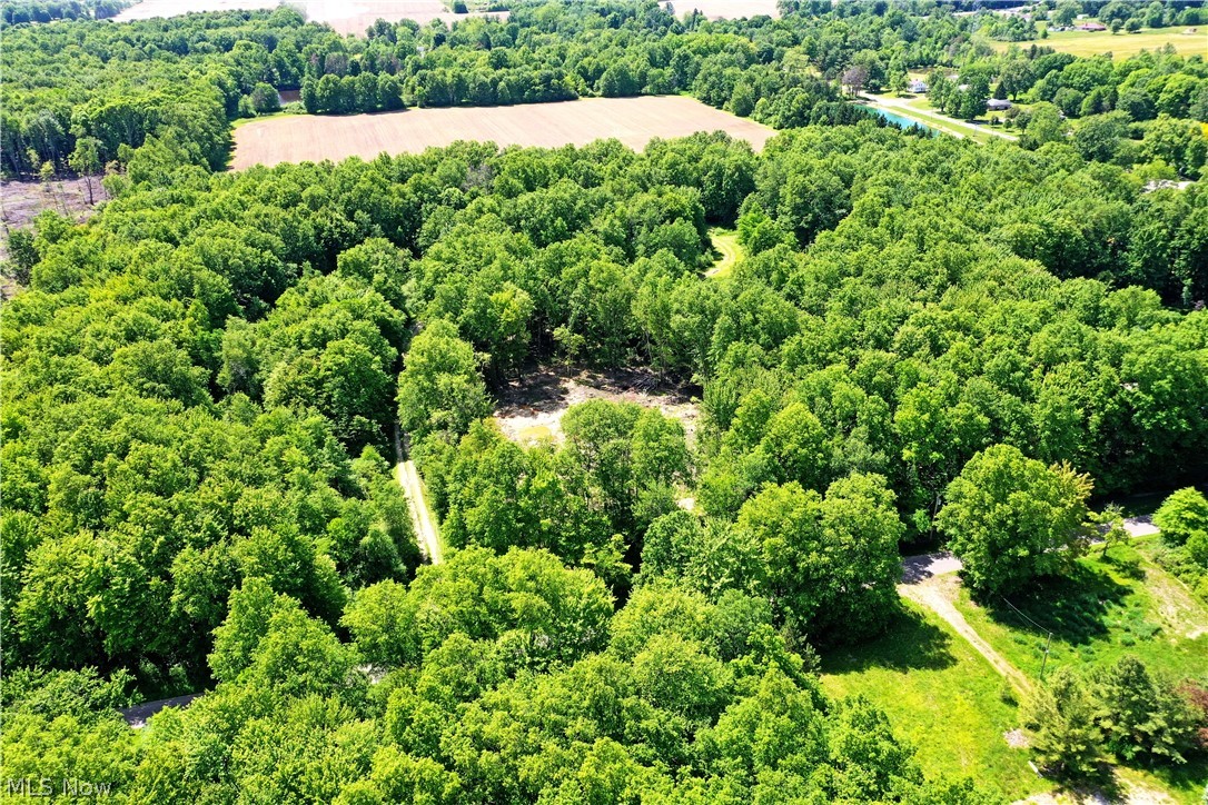 Mahan Denman Road Bristolville, OH 44402 - Photo 3 of 20