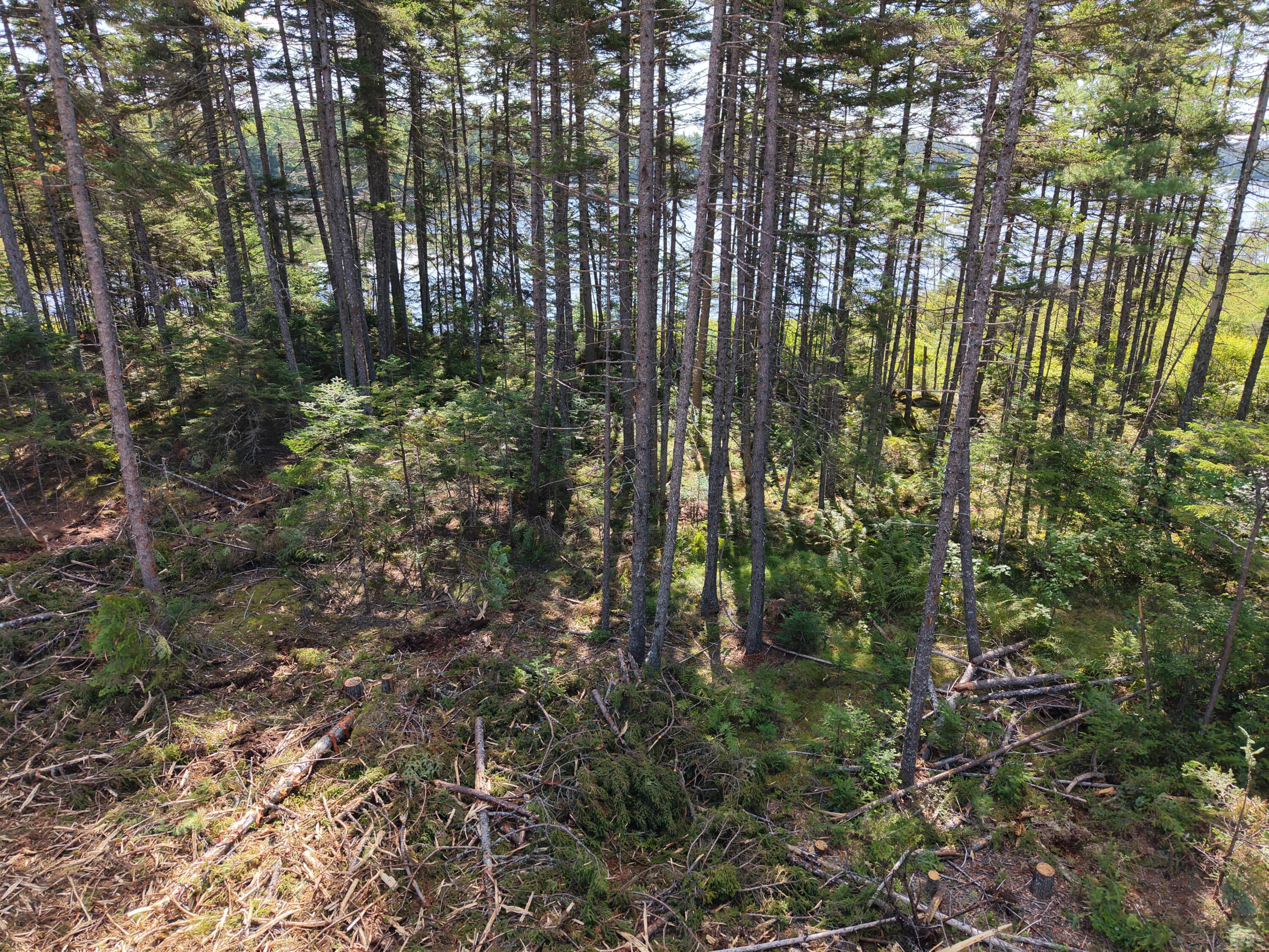 Ms03-l17.3 Middle Carry Pond Road New Portland, ME 04961 - Photo 18 of 25 DJI_20260821101728_0022_D
