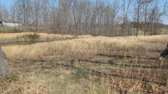 674 Barnsville Road Summertown, TN 38483 - Photo 14 of 18 Gallery Image 14