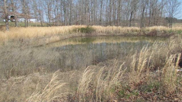 674 Barnsville Road Summertown, TN 38483 - Photo 16 of 18 Gallery Image 16