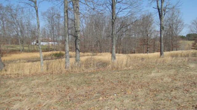 674 Barnsville Road Summertown, TN 38483 - Photo 18 of 18 Gallery Image 18