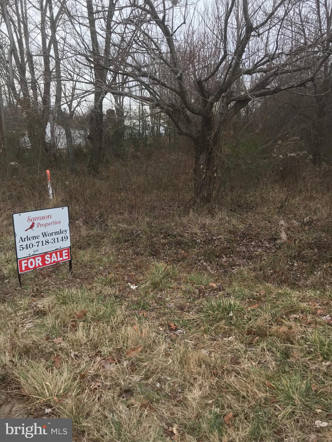 41-15 Rixeyville Road Culpeper, VA 22701 - Photo 3 of 8 One acre lot ready to build your hone.