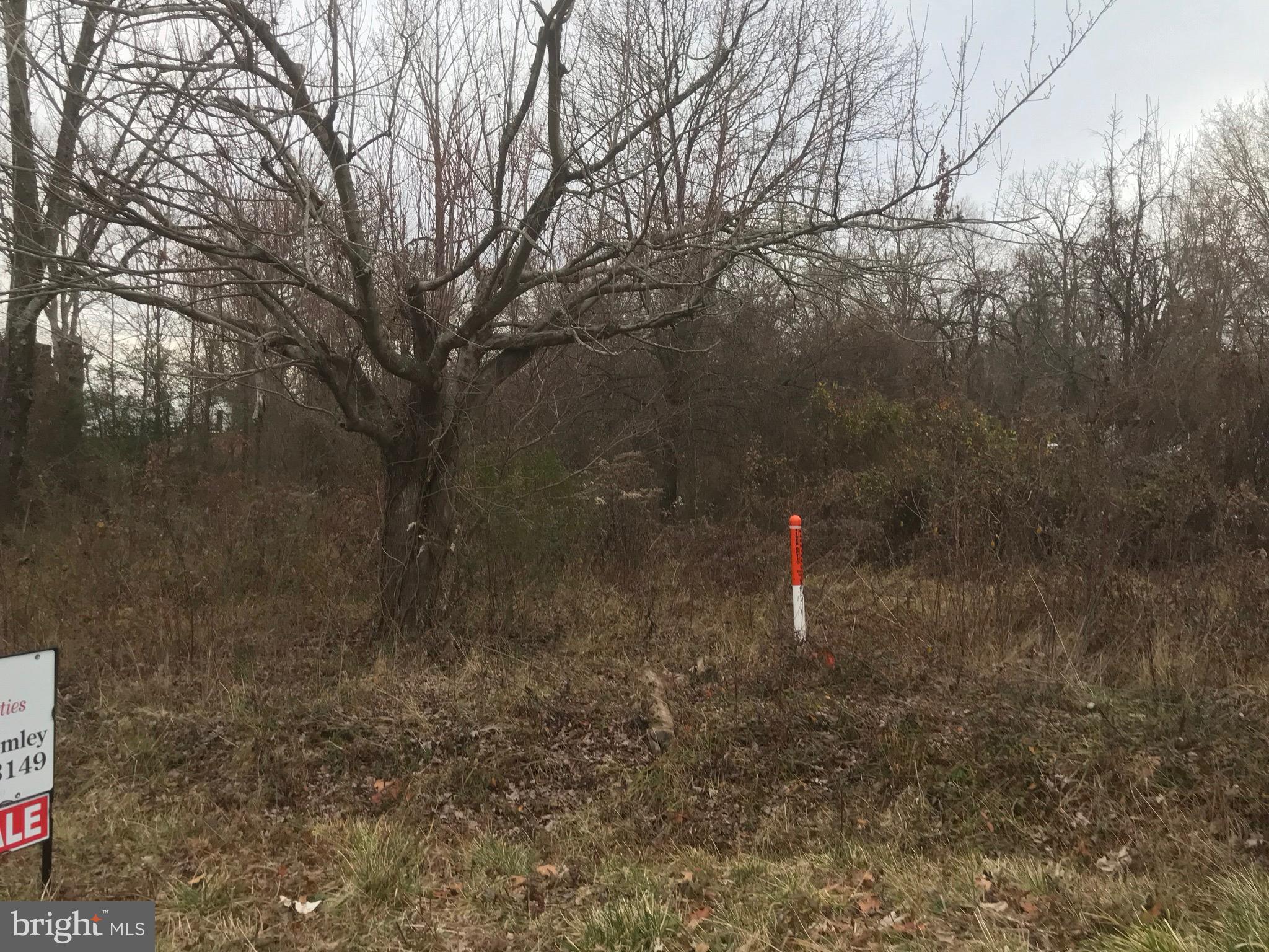41-15 Rixeyville Road Culpeper, VA 22701 - Photo 6 of 8