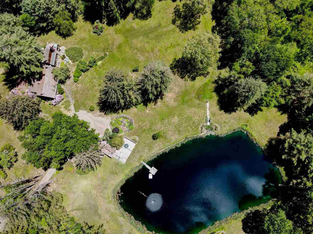 347 Old Powdermill Road Saugerties, NY 12477 - Photo 33 of 35 a close up of a tree in a garden