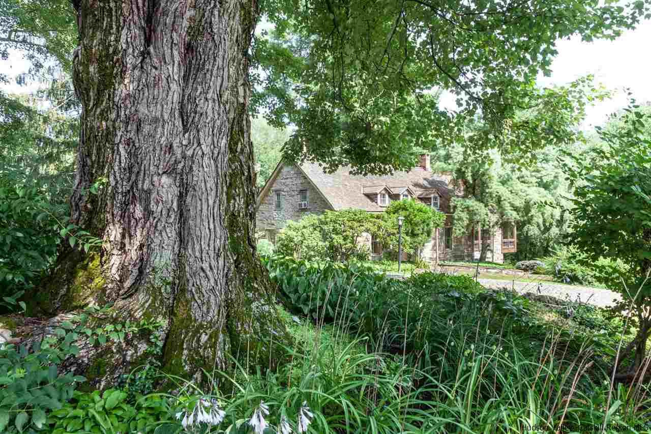 347 Old Powdermill Road Saugerties, NY 12477 - Photo 35 of 35 a view of a lush green forest