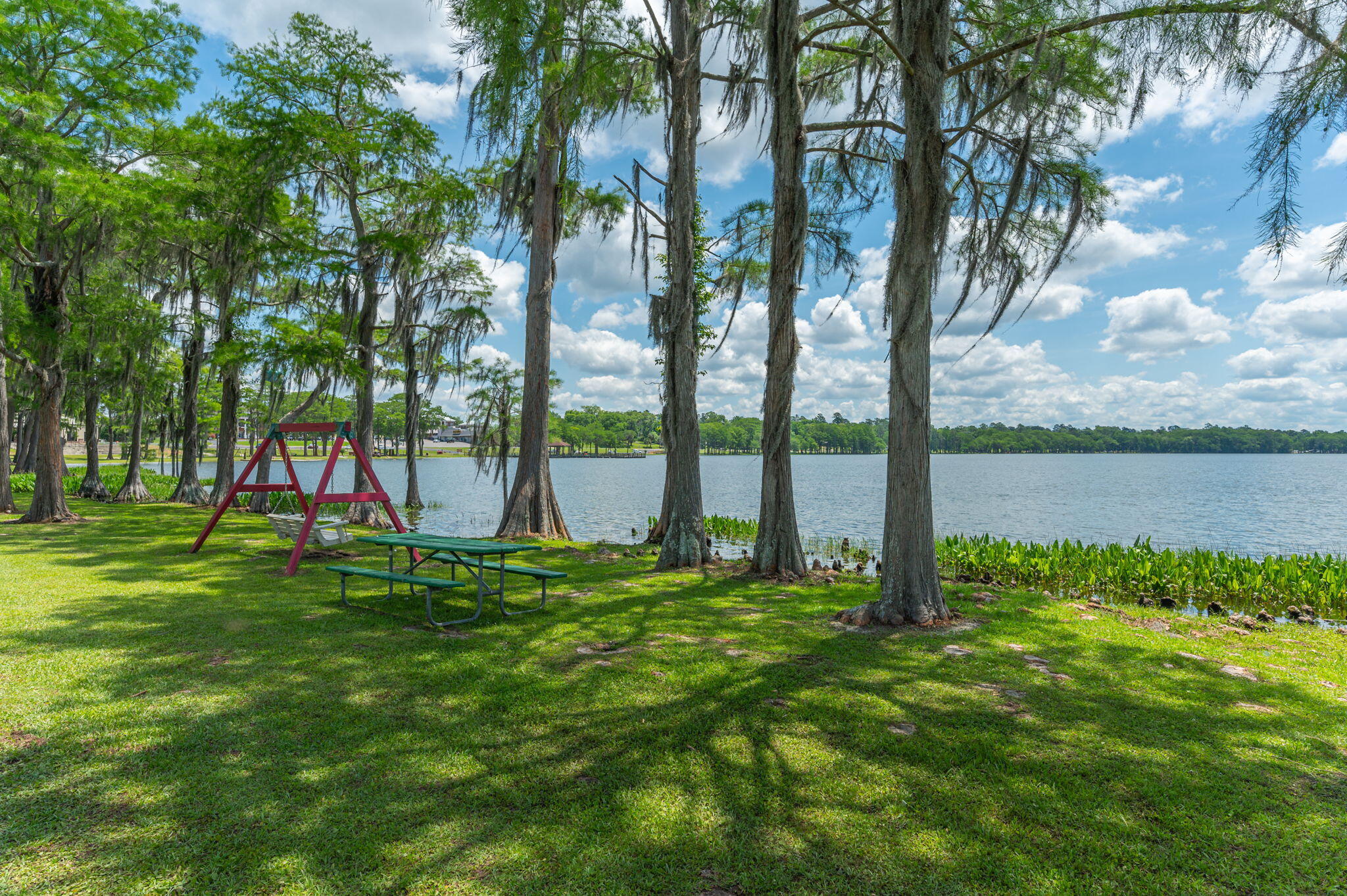 669 5th Street Florala, AL 36442 - Photo 138 of 142 31-web-or-mls-861 Cypress St Exterior-16