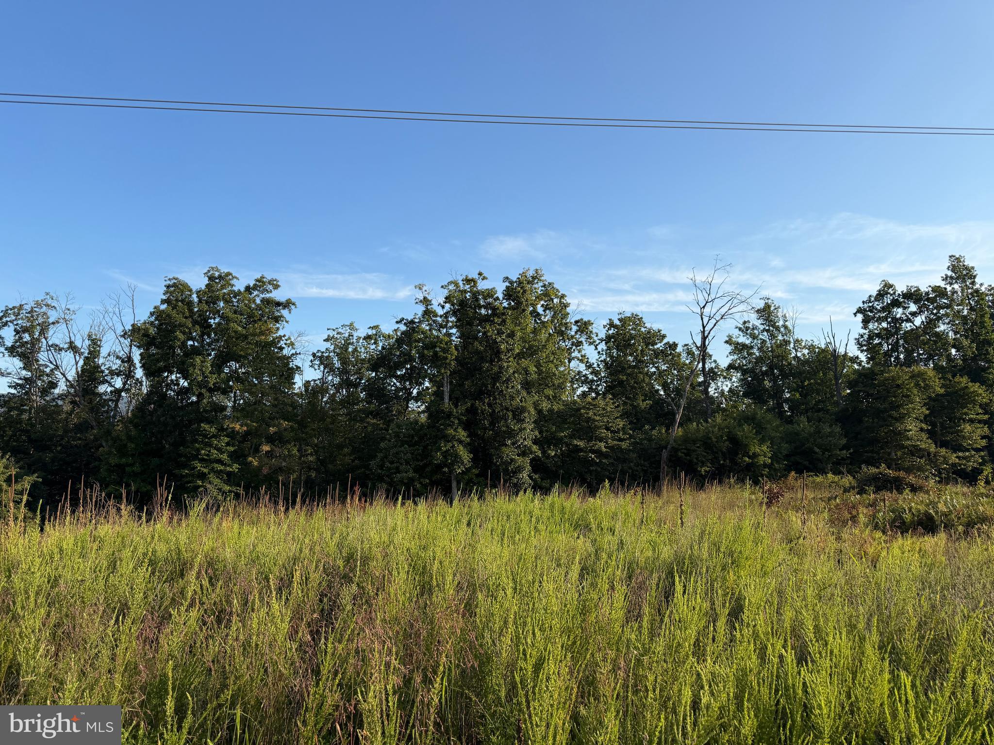 2 158.43 /- Acres Laurel Grove Road Winchester, VA 22602 - Photo 32 of 37 Gallery Image 32