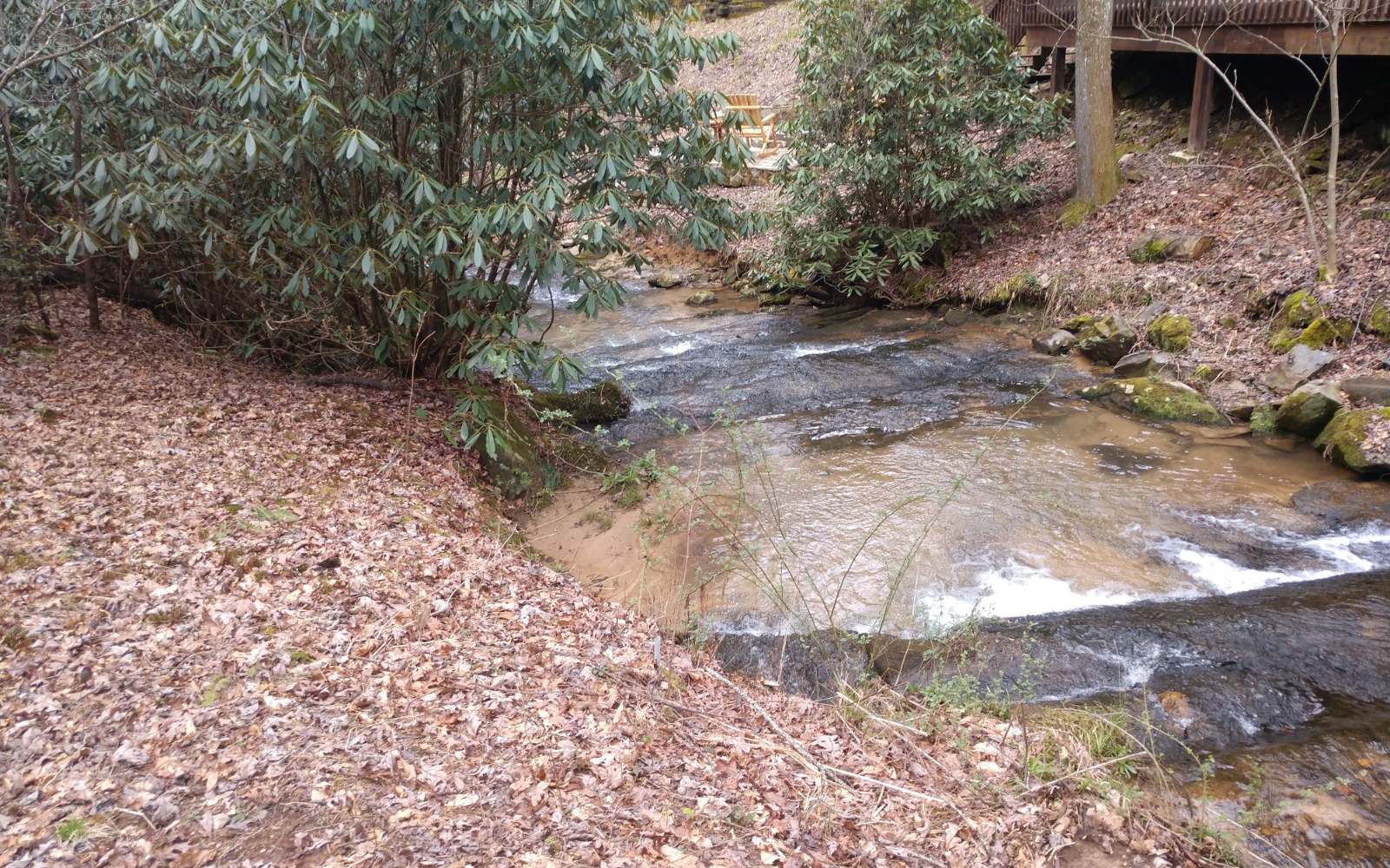 a view of a yard with large trees