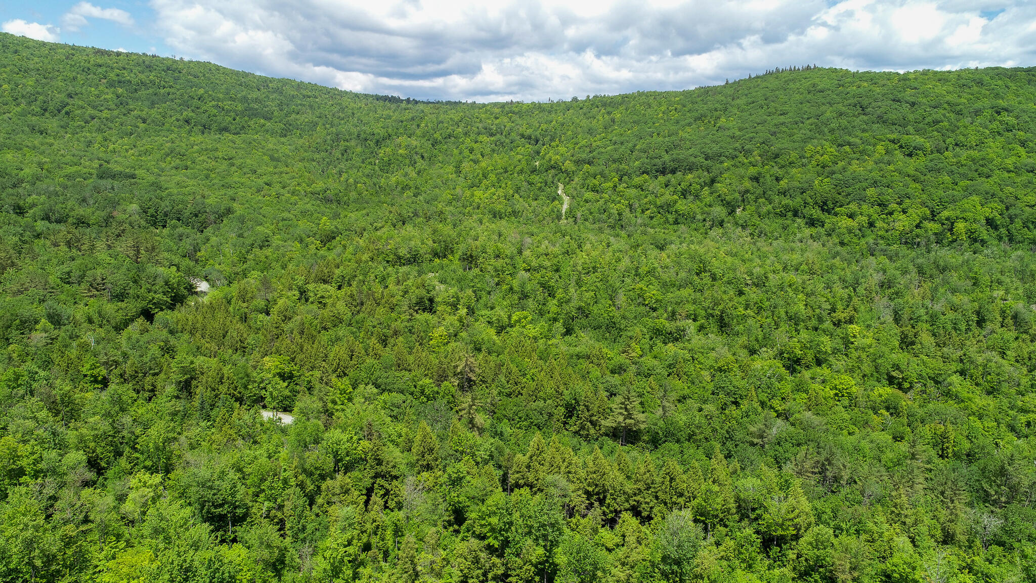203 Map Rumford, ME 04276 - Photo 6 of 6