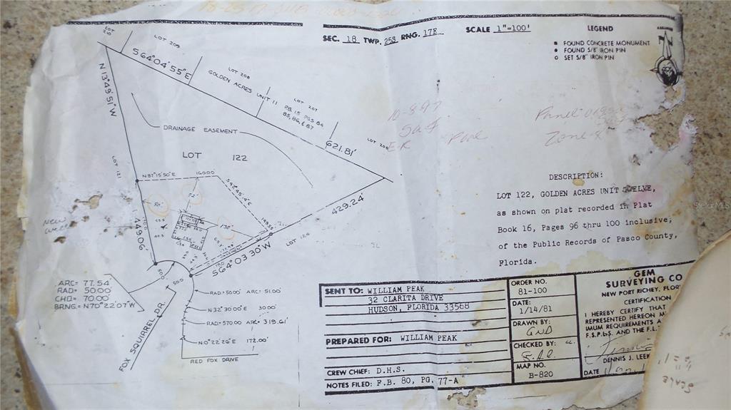 10127 Fox Squirrel Drive New Port Richey, FL 34654 - Photo 18 of 18