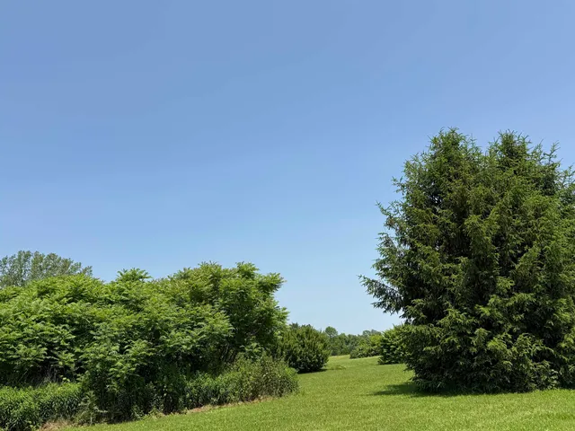 $669,900 | 6614 Main Road, West Haven, VT 05743