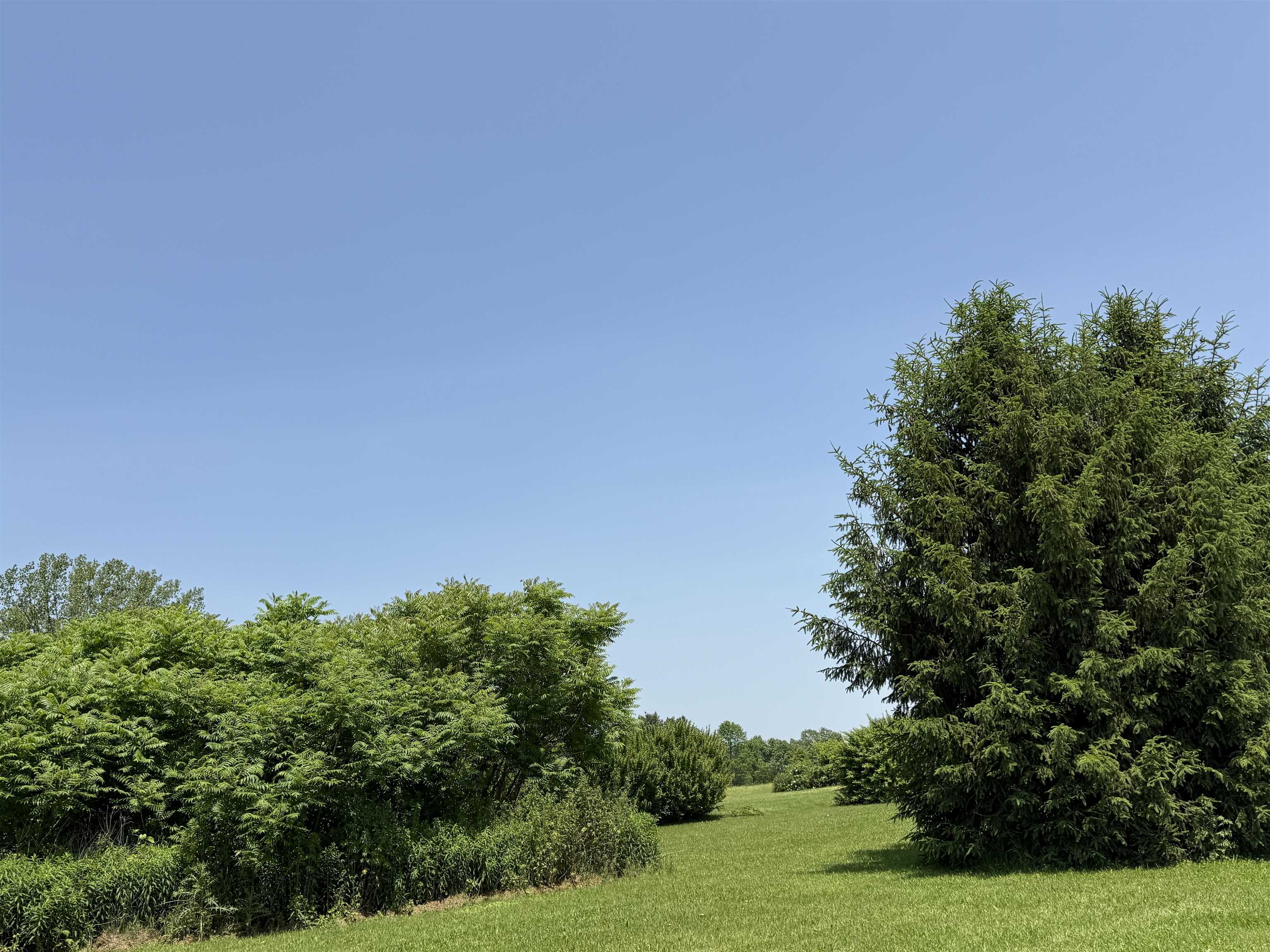 6614 Main Road West Haven, VT 05743 - Photo 13 of 52