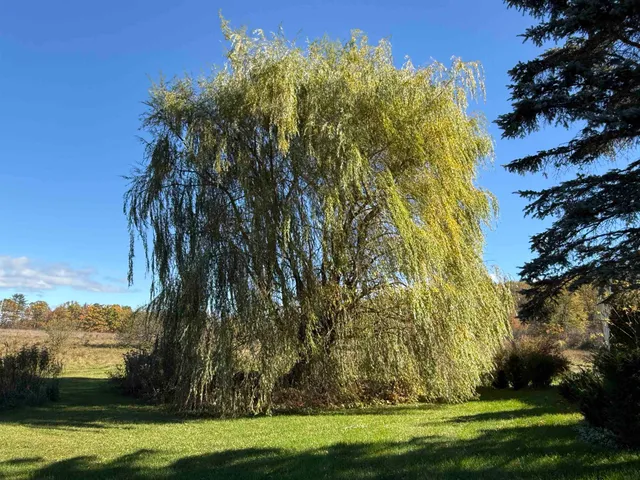 $669,900 | 6614 Main Road, West Haven, VT 05743