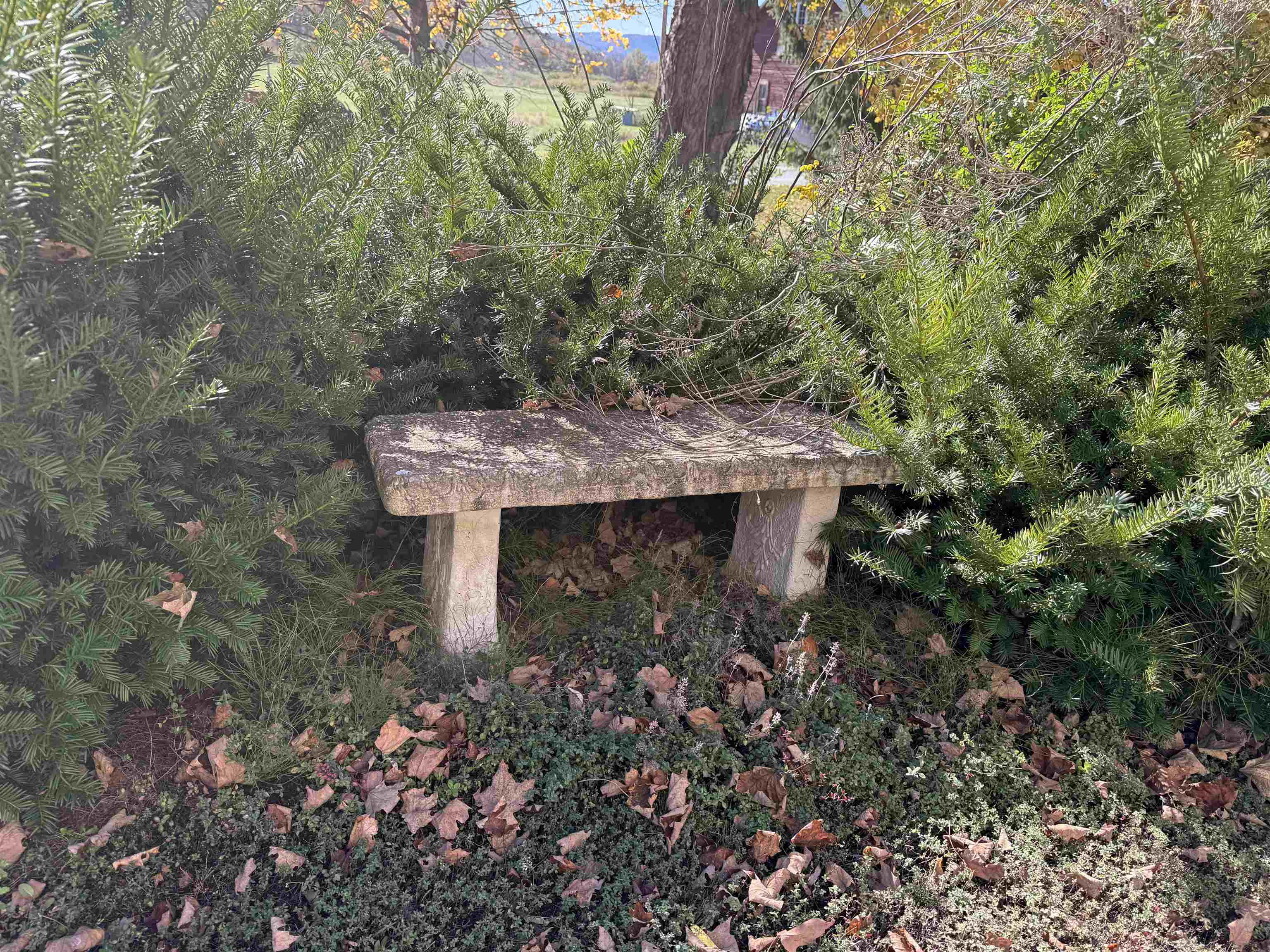 6614 Main Road West Haven, VT 05743 - Photo 47 of 52