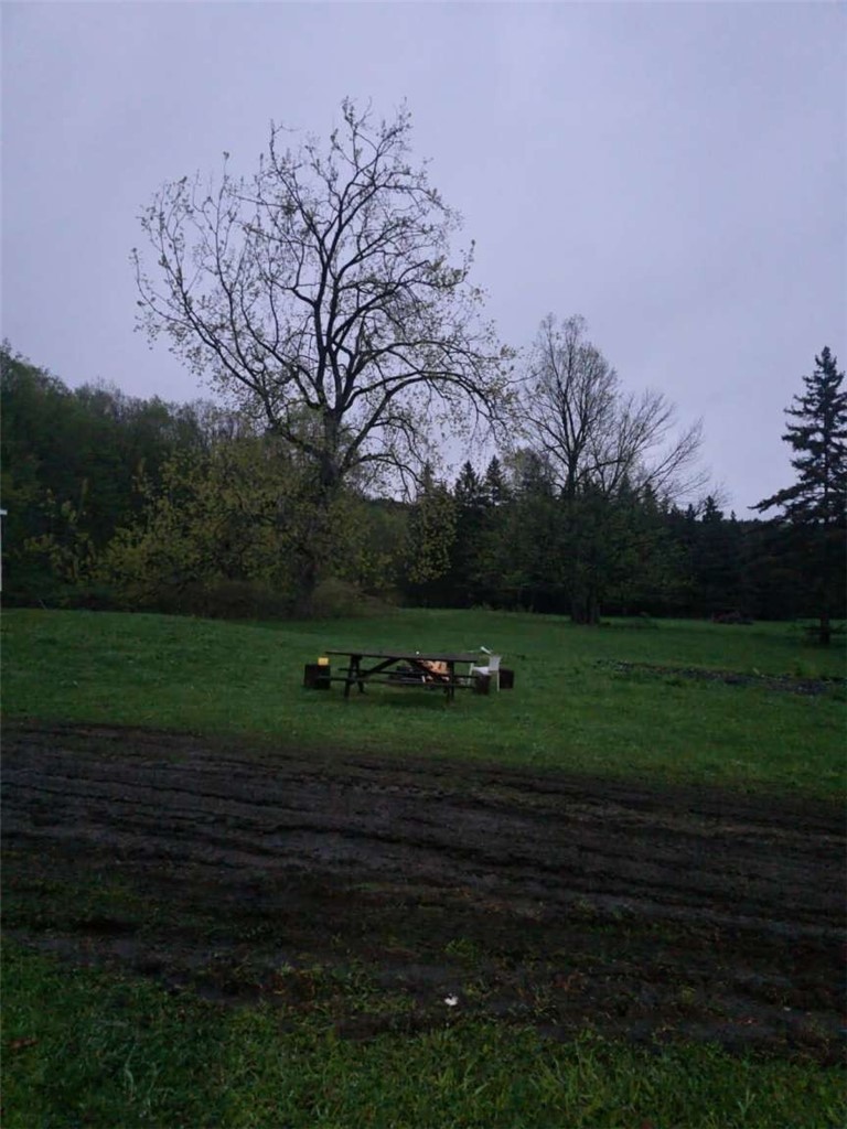 218 Chestnut Ridge Road Cherry Valley, NY 13320 - Photo 3 of 4 Gallery Image 3