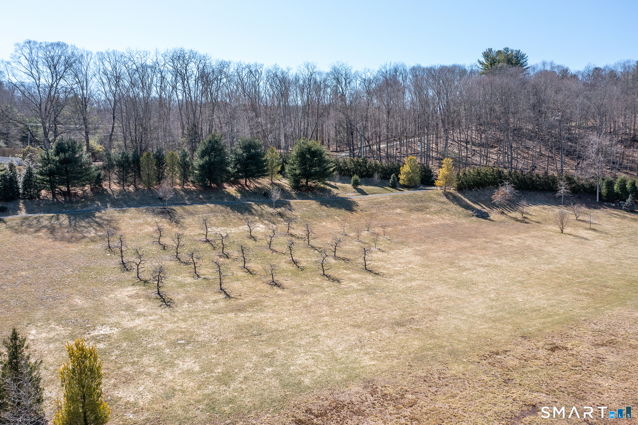 52 Calhoun Street Washington, CT 06794 - Photo 14 of 17 Apple Orchard