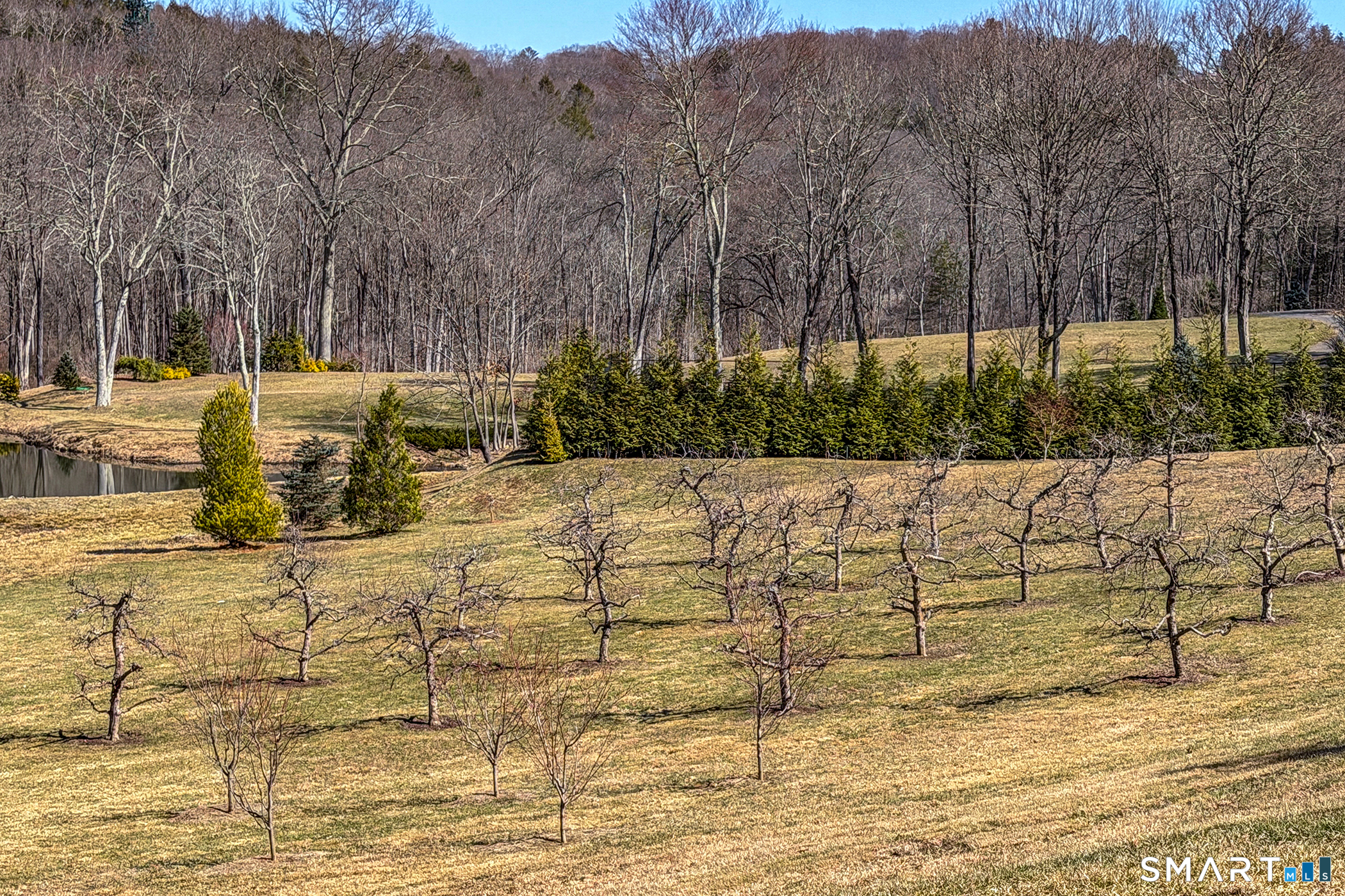 52 Calhoun Street Washington, CT 06794 - Photo 15 of 17 Apple Orchard