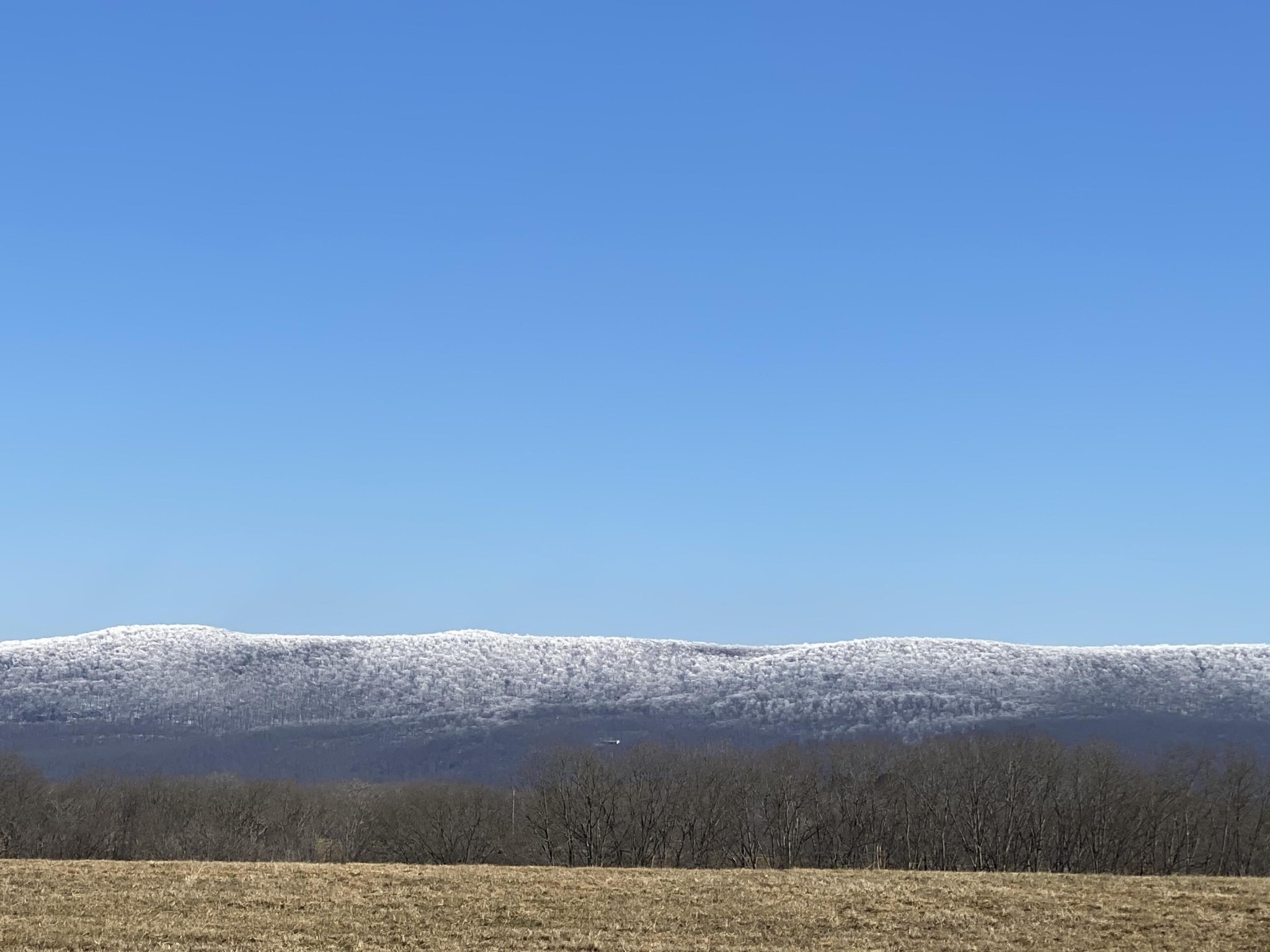 0 Winningham Road Crossville, TN 38572 - Photo 2 of 8 a view of the sky