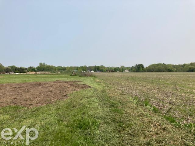 0 Walker Road North Street, MI 48049 - Photo 6 of 17