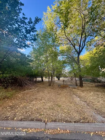 a view of a yard with plants and trees