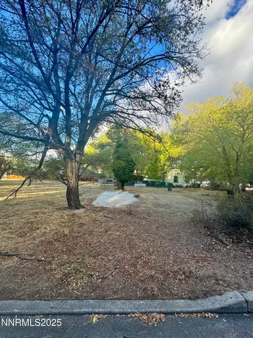 a view of a yard with a tree