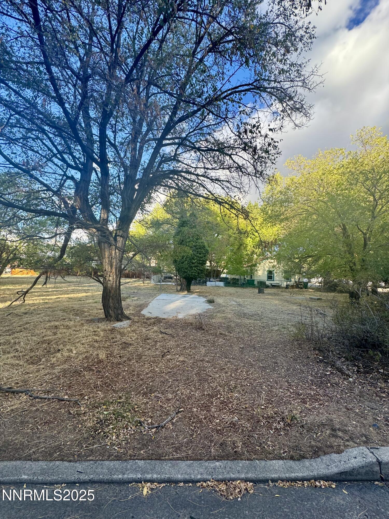611 East Proctor Street Carson City, NV 89701 - Photo 2 of 3 a view of a yard with a tree
