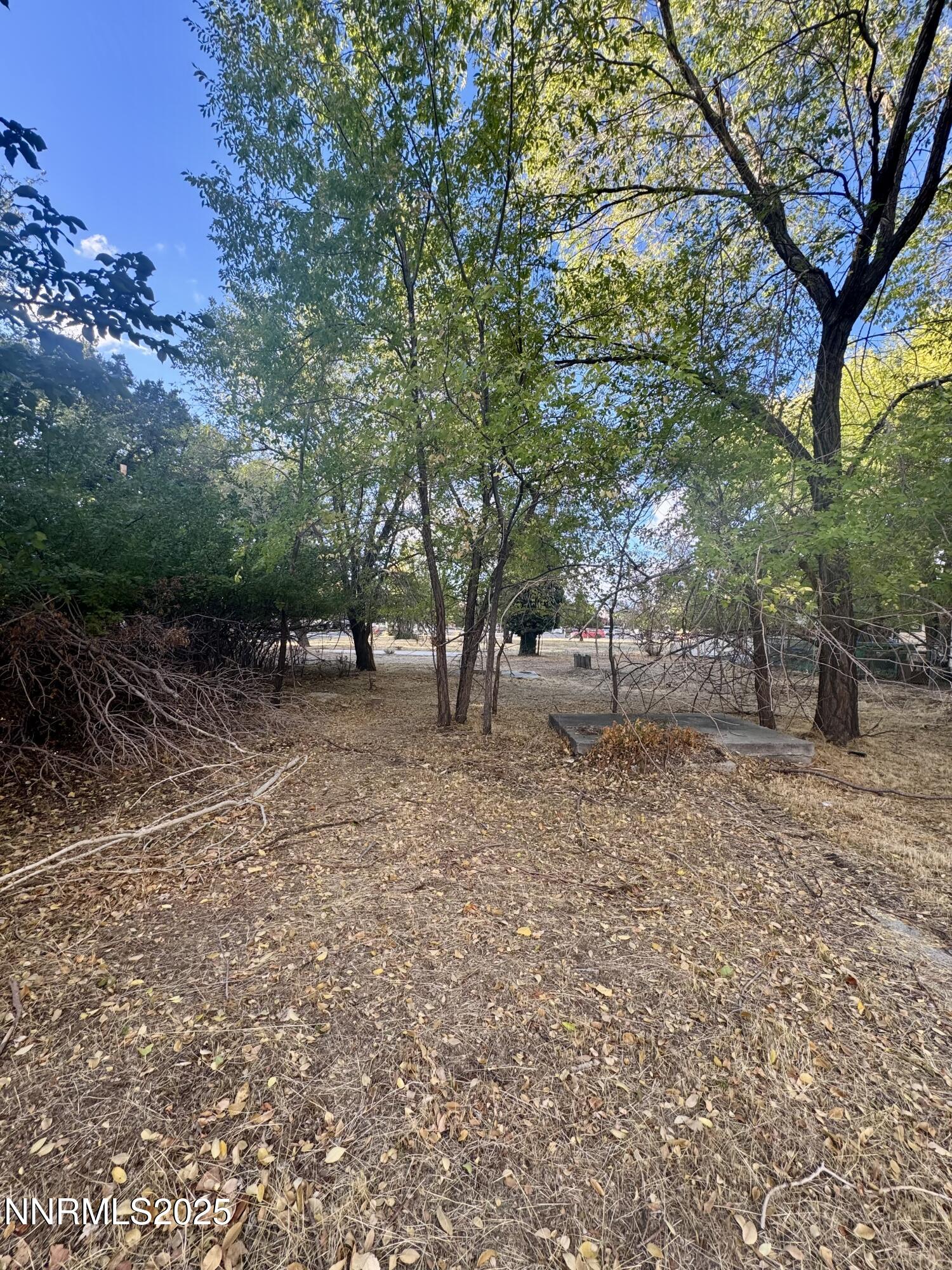 611 East Proctor Street Carson City, NV 89701 - Photo 3 of 3 a view of outdoor space with trees