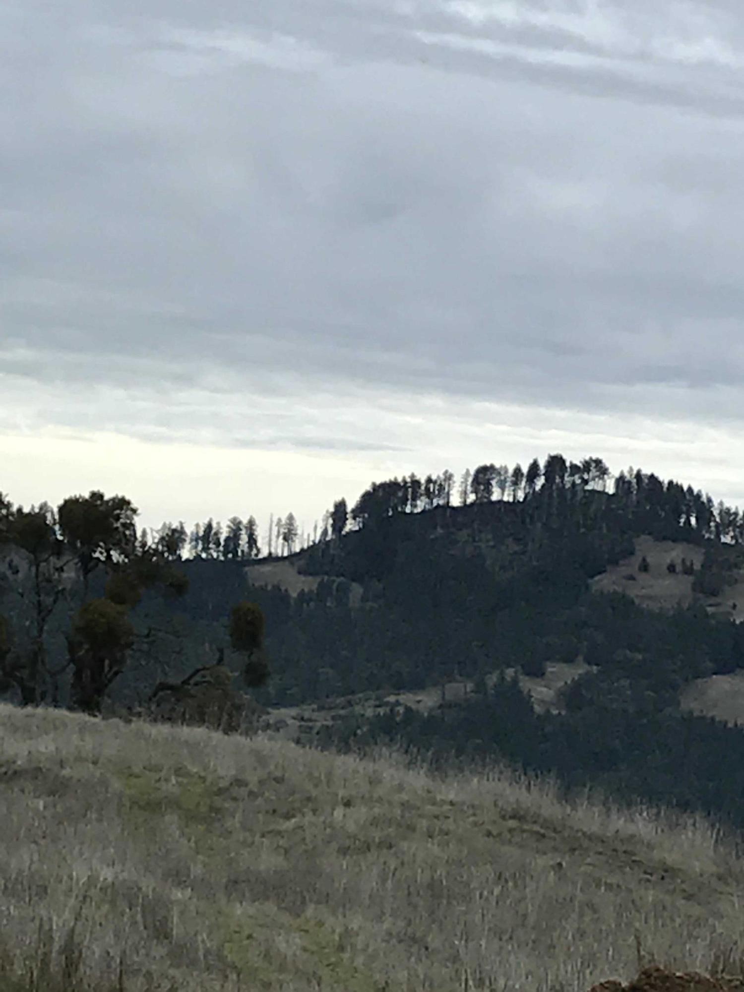 3848 Thomas Road Miranda, CA 95553 - Photo 21 of 77 "Feathers" in the distance