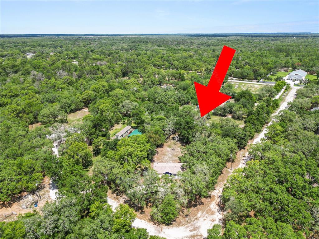 13043 Gennaro Road Hudson, FL 34669 - Photo 48 of 55
