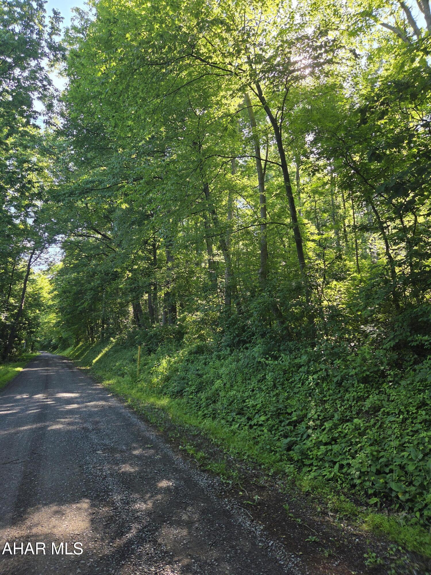 0 Sugar Ridge Road McVeytown, PA 17051 - Photo 7 of 19