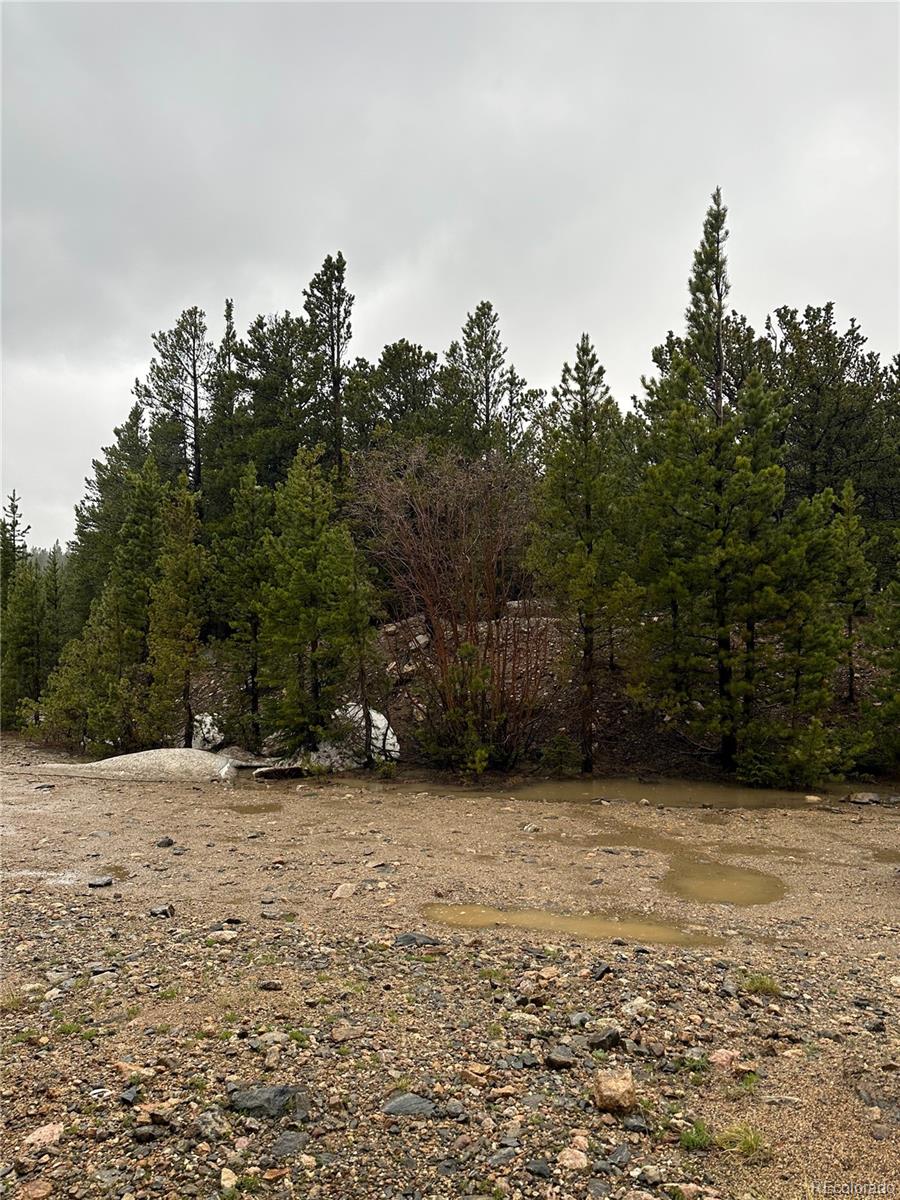 334 Eva Road Idaho Springs, CO 80452 - Photo 14 of 25 Gallery Image 14