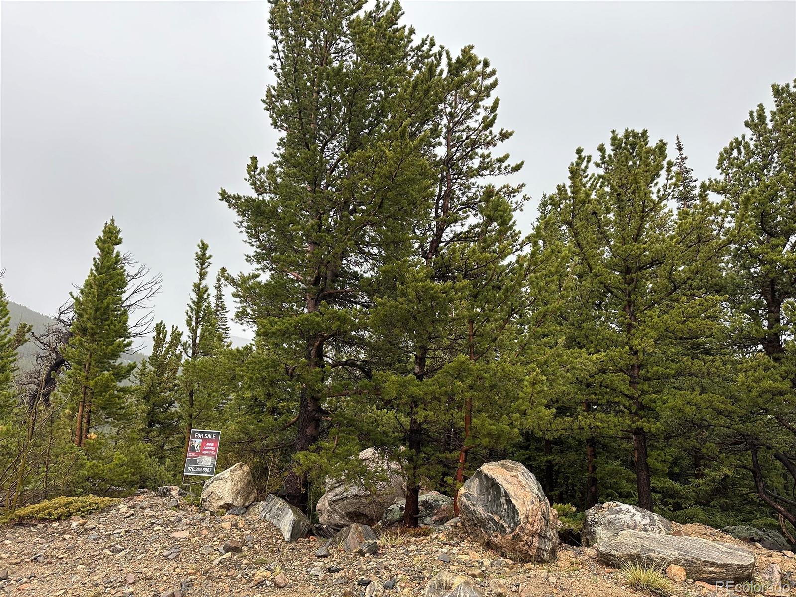 334 Eva Road Idaho Springs, CO 80452 - Photo 22 of 25 Gallery Image 22