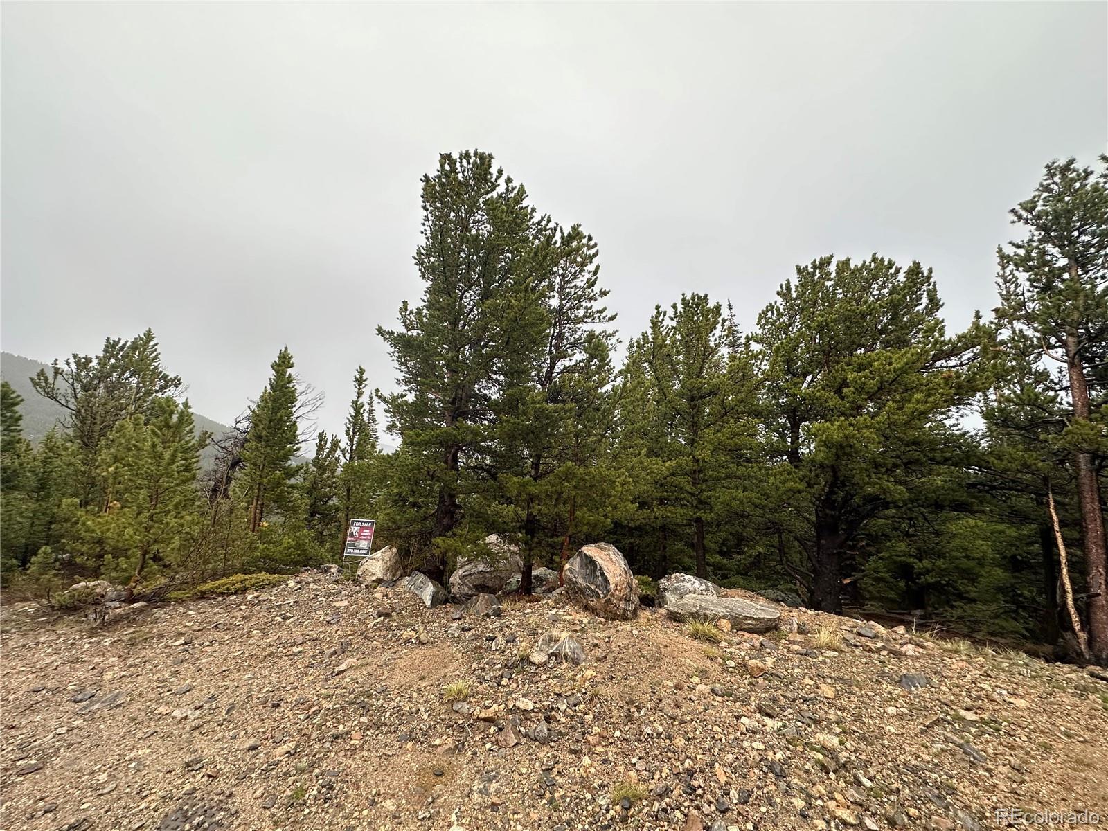 334 Eva Road Idaho Springs, CO 80452 - Photo 23 of 25 Gallery Image 23