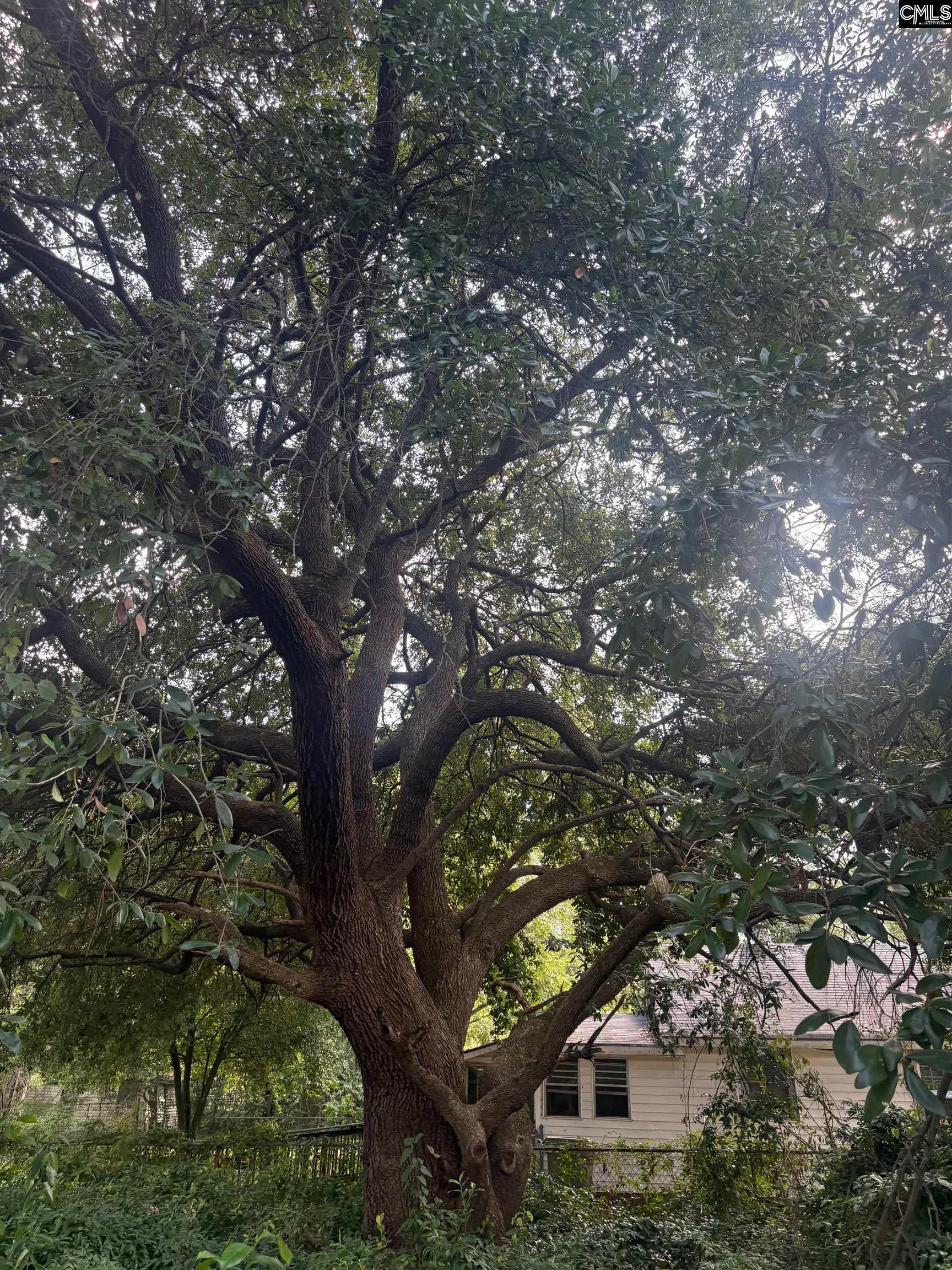 9 Middle Street Sumter, SC 29150 - Photo 2 of 23 Gallery Image 2