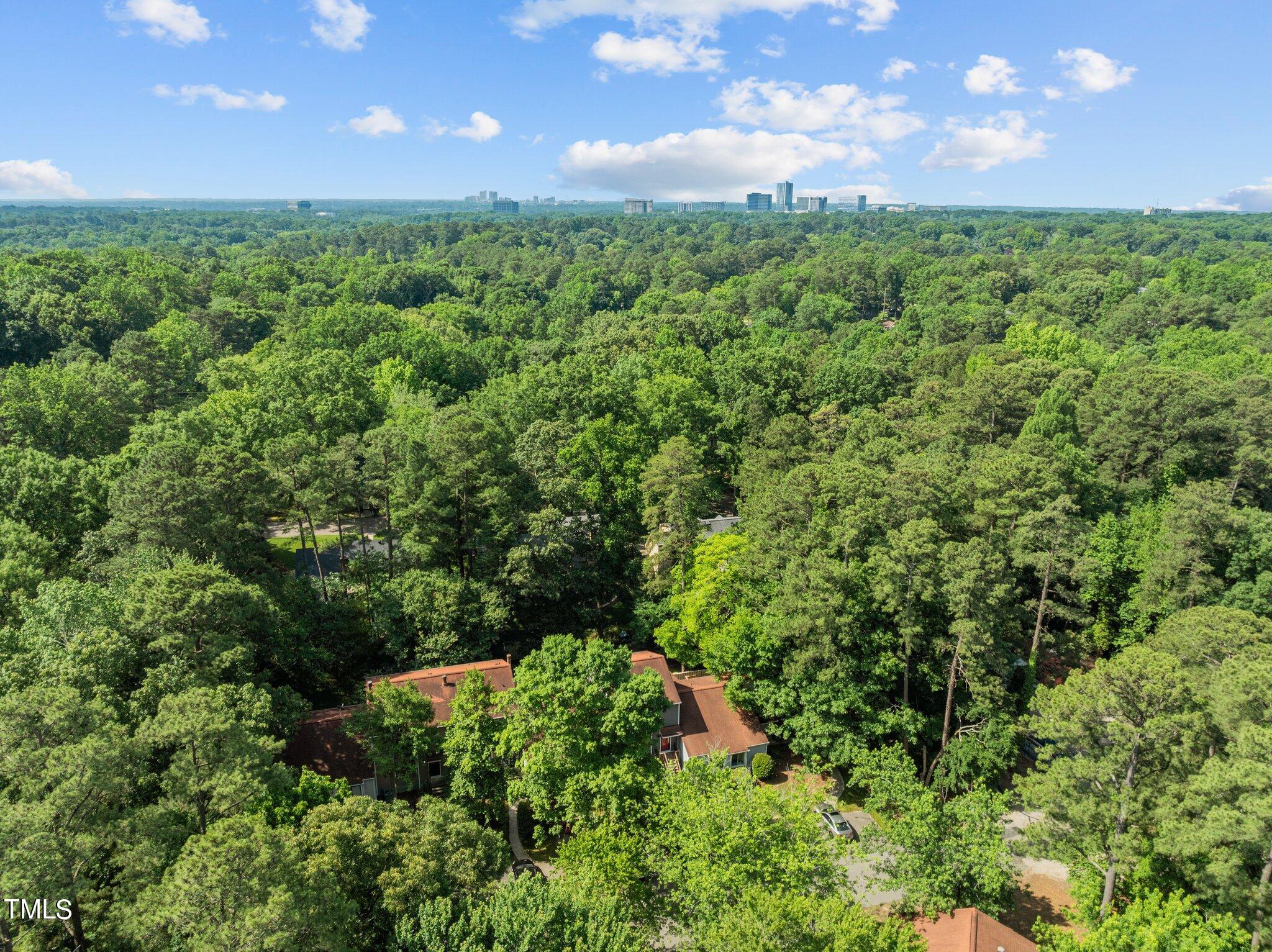 702 Green Ridge Drive Raleigh, NC 27609 - Photo 38 of 44 44-web-or-mls-DJI_0641