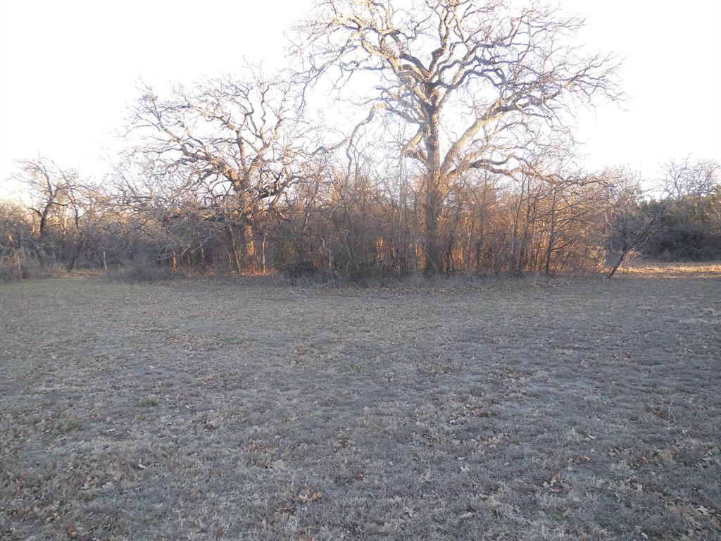 1300 Highway 571 Ranger, TX 76470 - Photo 6 of 13