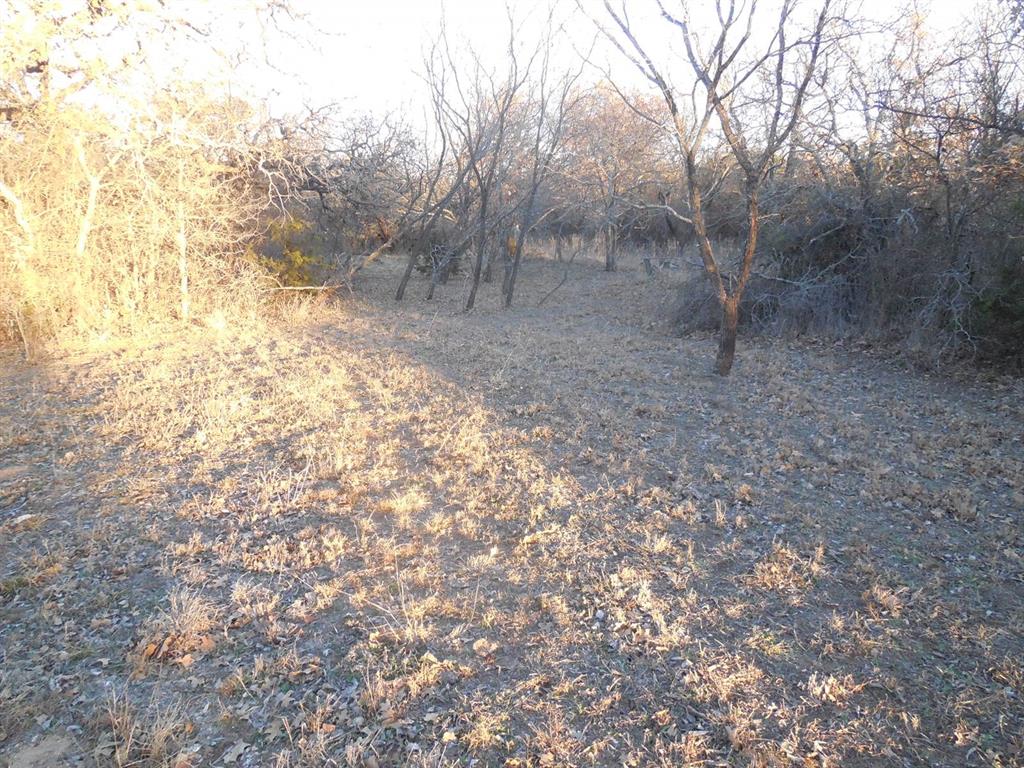 1300 Highway 571 Ranger, TX 76470 - Photo 7 of 13