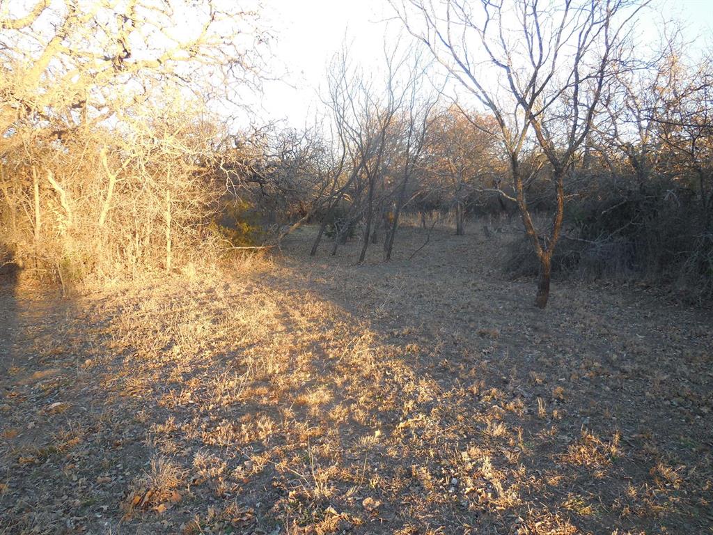 1300 Highway 571 Ranger, TX 76470 - Photo 8 of 13