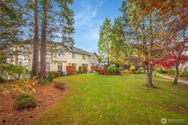 a view of a yard with a house and a large tree