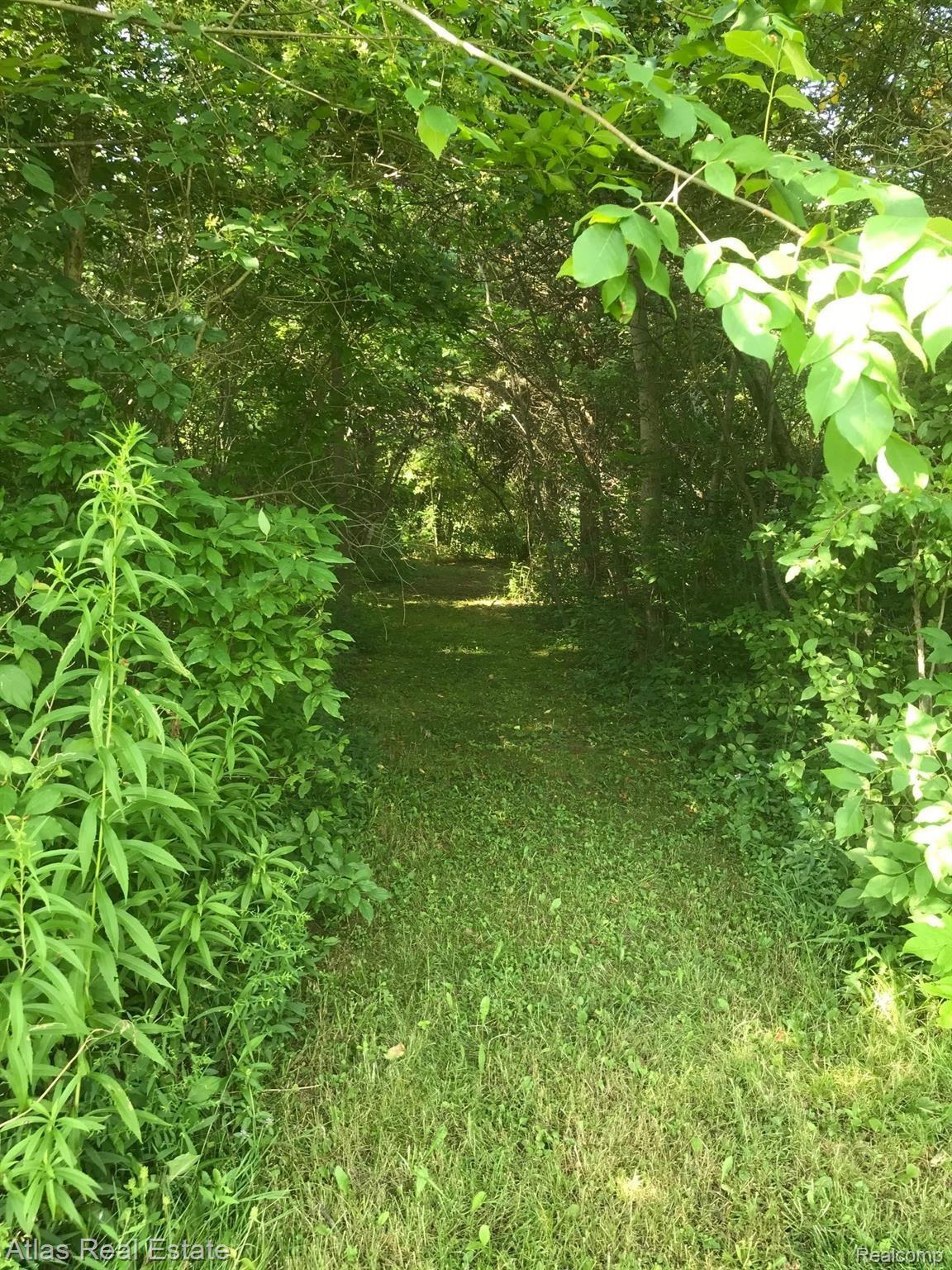 6121 East Potter Road Davison, MI 48423 - Photo 11 of 29 trail in woods2.jpg